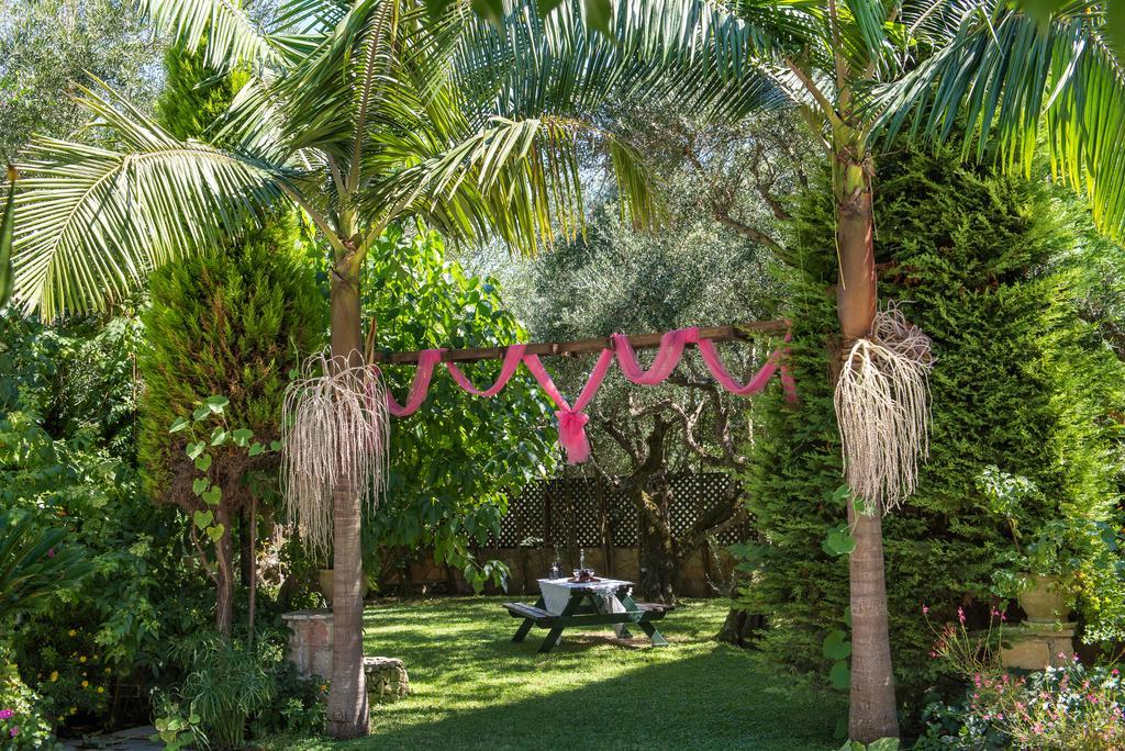 Ktima Kourou Plános Exterior foto